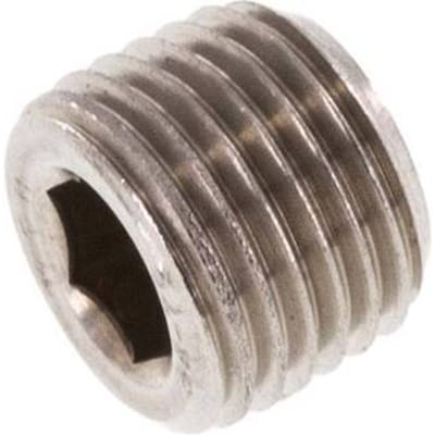 M10x1 RVS Plug met Binnenzeskant zonder kraag (Conisch) 40 Bar