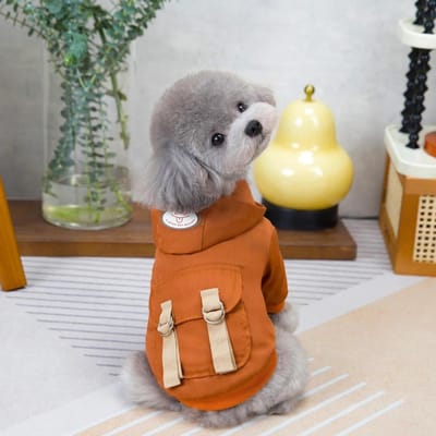 Veste d'hiver pour chien Manteau pour animal de compagnie Vêtements pour chien matelassés en coton à deux pattes pour petits chiens Chiots Ropa Para Perros S