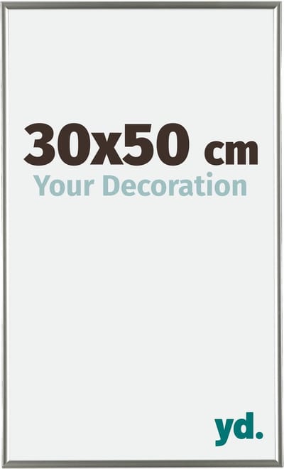 Your Decoration - Fotolijst 30x50 cm - Kunststof - Champagne - Evry