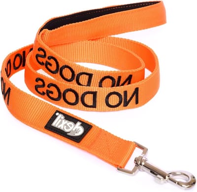 Hondenriem - Veiligheidshondenlijn - Veilig Wandelen - Kleurgecodeerd - 60 cm - Oranje