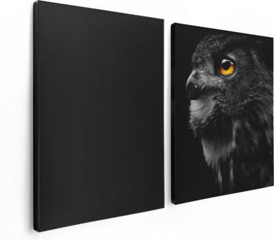 Artaza Canvas Schilderij Tweeluik Zwarte Uil Met Gouden Ogen  - 120x80 - Foto Op Canvas - Canvas Print