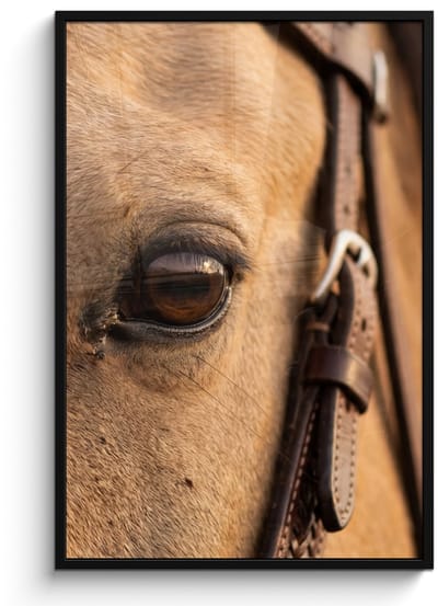 Poster in lijst - Fotolijst 80x120 cm - Posters - Paard - Oog - Bruin - Posterlijst zwart - Decoratie - Wanddecoratie woonkamer - Muurdecoratie slaapkamer