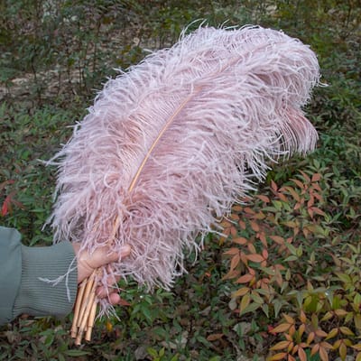 10 pièces Plumes d'autruche Naturelles en Gros 15-50 cm Plumes d'Artisanat pour Fête Mariage Décoration de Maison Centres de Table Décoration de Bijoux 30-35cm