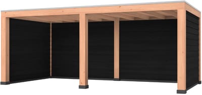 Douglas overkapping, 600 x 300, met zwarte achterwand en twee zijwanden, Westwood Modern Plus