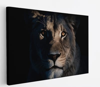Saammp Canvas Schilderij - Leeuwen Portret - Lichtval - Dieren - Natuur - 45x30 - Foto op canvas - Wanddecoratie - Muurdecoratie Woonkamer - Slaapkamer decoratie - Canvas Print