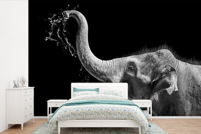 Behang - Fotobehang Portret - Olifant - Dieren - Zwart wit - Breedte 600 cm x hoogte 400 cm