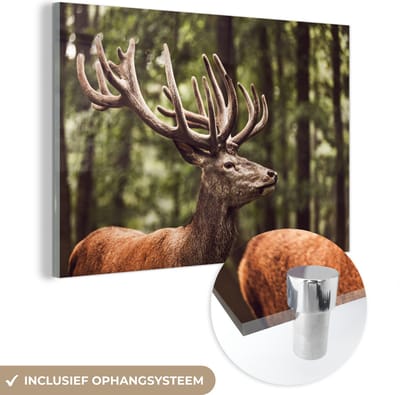 MuchoWow® Glasschilderij 60x40 cm - Schilderij acrylglas - Hert - Natuur - Gewei - Bos - Dieren - Foto op glas - Schilderijen