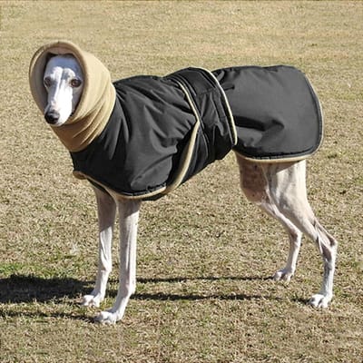 Super Warme Dikke Hondenkleding Waterdichte Hondenjas Jas Voor Middelgrote Grote Honden Windhond Wolfshond Herder Kleding 3XL