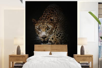 Behang - Fotobehang Luipaard - Wilde dieren - Licht - Breedte 190 cm x hoogte 260 cm