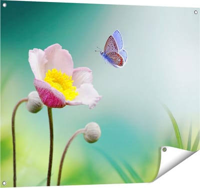 Gards Tuinposter Roze Anemoon Bloem met een Blauwe Vlinder - 100x80 cm - Tuindoek - Tuindecoratie - Wanddecoratie buiten - Tuinschilderij
