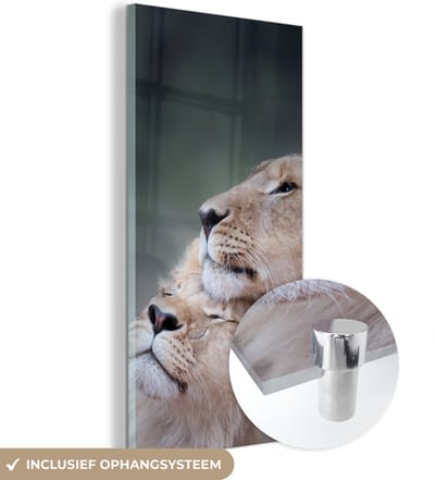 MuchoWow® Glasschilderij 20x40 cm - Schilderij acrylglas - Leeuw - Wilde dieren - Big Five - Foto op glas - Schilderijen