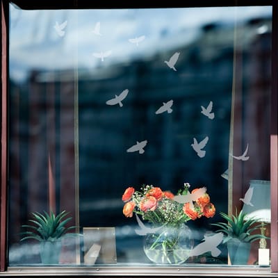 15 doorschijnende anti-botsingsstickers met vogels, 105 x 105 cm