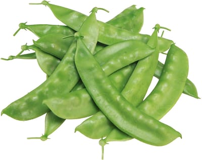 Groene Erwten Kunstvoeding Groenten 11,5cm 24 st, 24 Stück