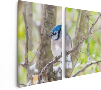 Artaza Canvas Schilderij Tweeluik Blauwe Gaai Vogel In De Sneeuw - 80x60 - Foto Op Canvas - Canvas Print