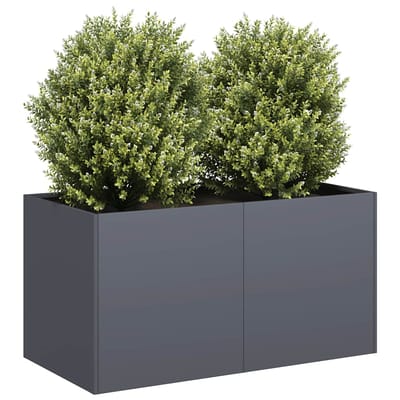 vidaXL - Plantenbak - 80x40x40 - cm - koudgewalst - staal - antracietkleurig