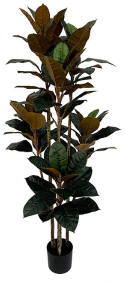 Rubberboom kunstplant 160 cm - Ficus elastica met 3 stammen