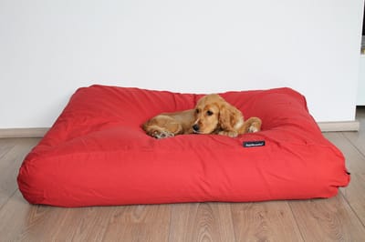 Dog's Companion Hondenkussen / Hondenbed - XS - 55 x 45 cm - Steenrood Canvas/Katoen