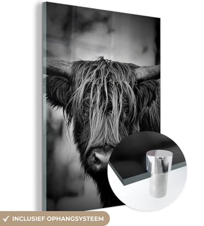 MuchoWow® Glasschilderij 120x160 cm - Schilderij acrylglas - Schotse hooglander - Licht - Portret - Natuur - Foto op glas - Schilderijen