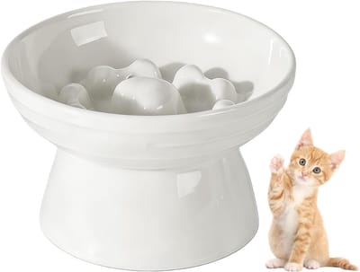 kom kat verhoogd, slow feeder nat voer 200 ml, keramische kat langvoeder, slow feeder katten nat voedsel, anti-spatten-kom katten voor nat voer en droogvoer, wit (13,5 x 10,5 x 8,5 cm)