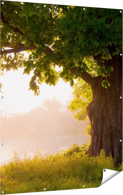 Gards Tuinposter Eikenboom aan het Water met Volle Bladeren - 120x160 cm - Tuindoek - Tuindecoratie - Wanddecoratie buiten - Tuinschilderij