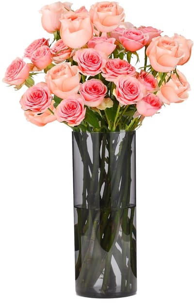 Dailygoods - Kristalheldere Grijze Acryl Vaas - Onbreekbare Lichtgewicht Cilindrische Bloemenvaas met Modern Design voor Woonkamer, Slaapkamer & Badkamer - Decoratieve Moderne Vaas - 12x30cm