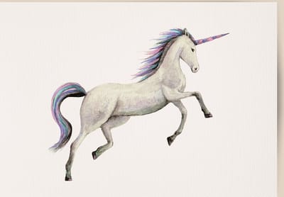 World of Mies poster unicorn - A4 - mooi dik papier - Snel verzonden! - eenhoorn - dieren in aquarel - geschilderd door Mies
