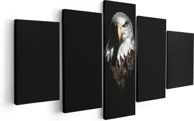 Artaza Canvas Schilderij Vijfluik Adelaarkop - Adelaar - 100x50 - Foto Op Canvas - Canvas Print