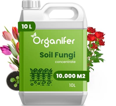 Soil Fungi Bodemschimmel Concentraat (10L, 10.000m2) - Bij Fusarium Voet en Wortelrot - Fungus - Verticillium Verwelkingsziekte - Pythium Kiemplantenziekte - Voorkomt en Herstelt Schade - Organifer