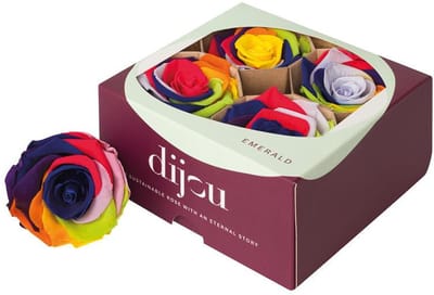 4x Rose preserved dc rainbow 9999c