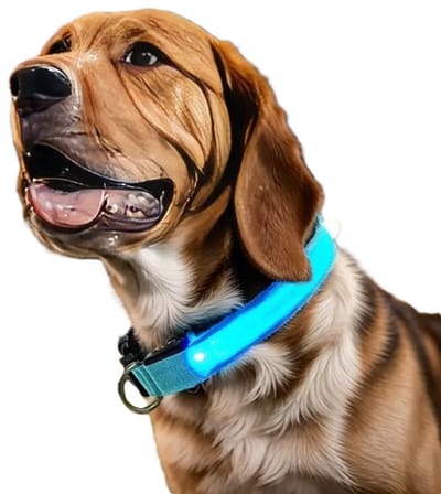 Verstelbare Halsband Voor Hond Met LED Licht I LED Honden Halsband I Nylon I Glow In Dark I Maat S (35- 43CM) I Blauw