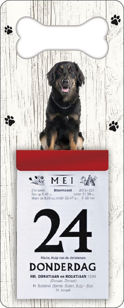 Scheurkalender 2027 Hond: Hovawart