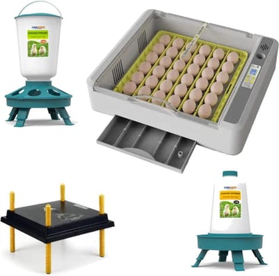 UniEgg™ Kuikenpakket Automatische broedmachine XL YZ36 t/m 120 eieren 2.0 (2e generatie) inclusief warmteplaat 25 x 25cm tot 25 kuikens | Driestanden Slimme voerbak 1 KG + Slimme drinkbak 1 liter