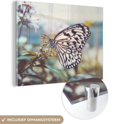 MuchoWow® Glasschilderij 40x30 cm - Schilderij acrylglas - Vlinder - Bloemen - Lente - Foto op glas - Schilderijen
