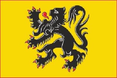Vlaamse vlag 100x150cm | op = op | aanbieding