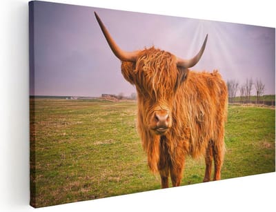 Artaza Canvas Schilderij Schotse Hooglander - 40x20 cm - Klein - Wanddecoratie Woonkamer - Muurdecoratie Dieren - Schilderijen Op Canvas