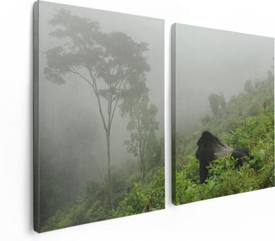 Artaza Canvas Schilderij Tweeluik Gorilla in het Woud tijdens de Mist - 120x80 - Foto Op Canvas - Canvas Print