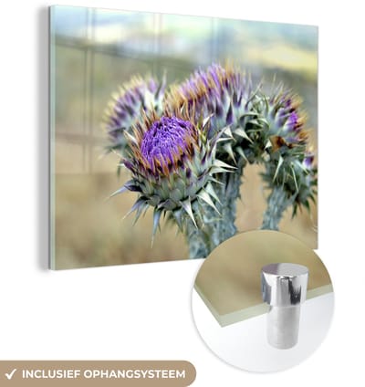 ® Glasschilderij 160x120 cm - Schilderij acrylglas - Een wilde artisjok in droog gebied - Foto op glas - Muurdecoratie woonkamer - Wanddecoratie slaapkamer - Schilderijen