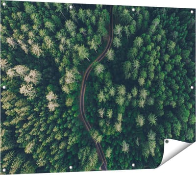 Gards Tuinposter Weg Door Bos met Bomen - Bovenaanzicht - 120x90 cm - Tuindoek - Tuindecoratie - Wanddecoratie buiten - Tuinschilderij