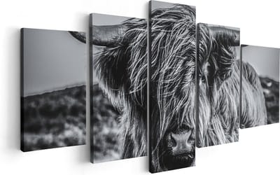 Artaza Canvas Schilderij Vijfluik Schotse Hooglander Koe - Zwart Wit - 100x50 - Foto Op Canvas - Canvas Print