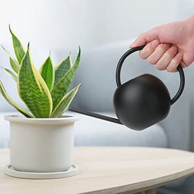 Lange Sprinkling Pot - Mini Gieter voor Indoor en Outdoor Gebruik - 400 ml Zwarte Metalen Gieter