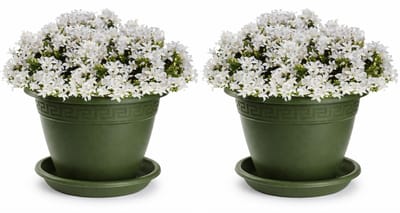Plasticforte 2x plantenpot met opvang schaal - donkergroen - rond - D30 x H23 cm - kunststof - buiten - tuin - bloempot