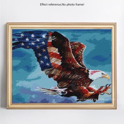 Diamant Schilderij Dier Adelaar Amerikaanse Vlag Strass Mozaïek Diamant Borduurwerk 20X30CM black