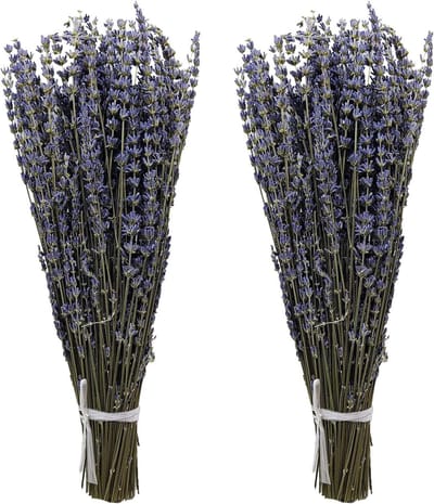 2pcs Dried Lavender Bundles Natural Dried Lavender Flowers 40cm Length Natural Dried Flowers for Home Wedding Flower - ShopVlot