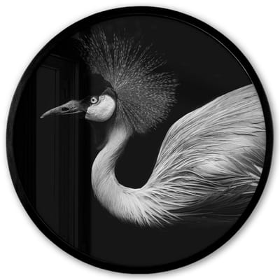 Poster in lijst Rond - Fotolijst 40x40 cm - Posters - Kraanvogel - Zwart - Wit - Vogel - Dieren - Ronde posterlijst zwart - Decoratie - Wanddecoratie woonkamer - Muurdecoratie slaapkamer