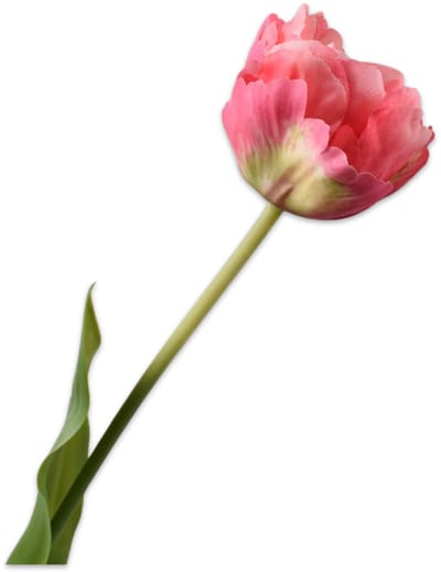 Silk-ka Kunstbloem-Zijden Bloemen Tulp Steel Roze-Crème 66 cm