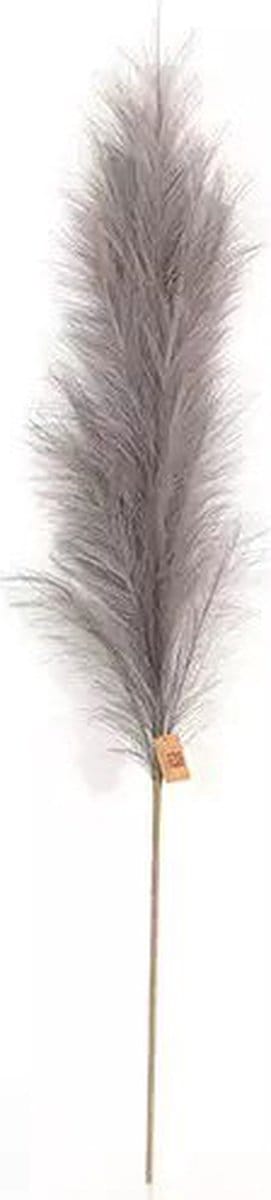 Pampas Gras 60 cm Donker grijs kunstplant Buitengewoon de Boet