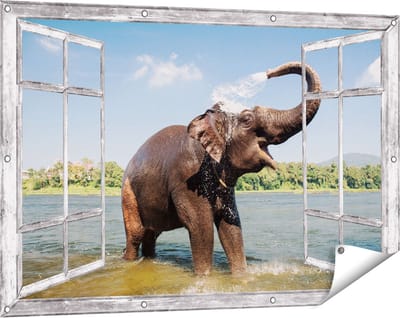 Gards Tuinposter Doorkijk Vrolijke Olifant in het Water - 120x80 cm - Tuindoek - Tuindecoratie - Wanddecoratie buiten - Tuinschilderij