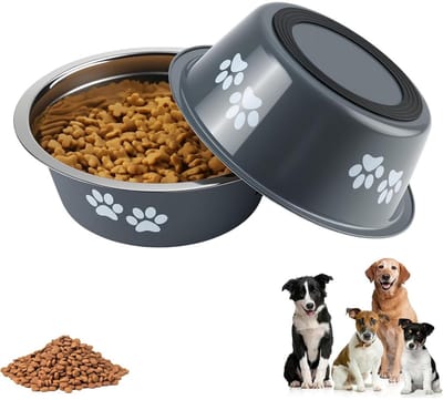 GELLDG Basis hondenkommen - 2 stuks - Roestvrijstalen hondenvoerbak - 21cm - Grote capaciteit, antislip bodem, klapvast - Geschikt voor middelgrote en grote honden en katten