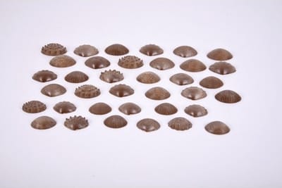 EDX - Eco sensorische schelpen (36 stuks)