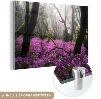 ® Glasschilderij 180x120 cm - Schilderij acrylglas - Knalroze bloemen in het Nationaal park Garajonay in Spanje - Foto op glas - Muurdecoratie woonkamer - Wanddecoratie slaapkamer - Schilderijen